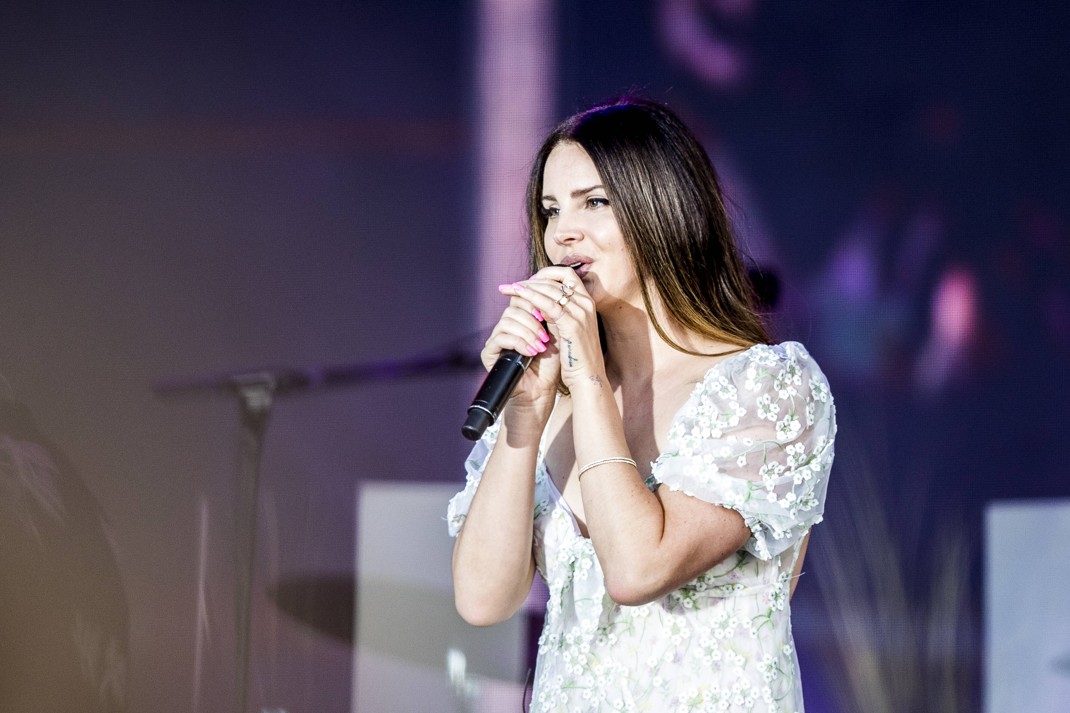 Певица Лана Дель Рей сменила профессию